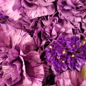 Meet your Posher, Lori